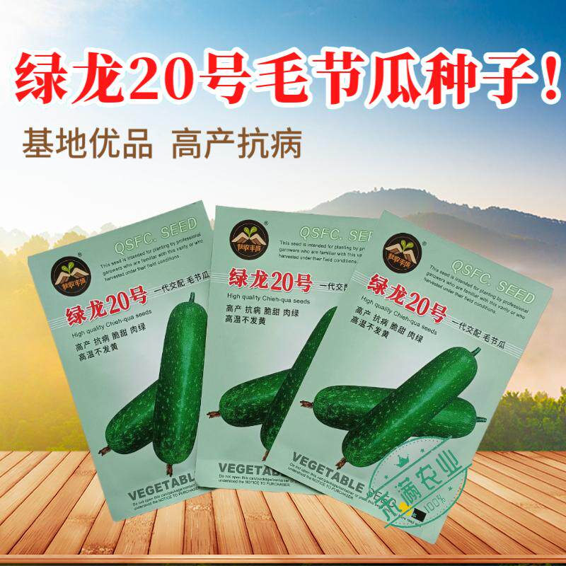 【广东毛节瓜】早熟杂交高产毛节瓜种子抗病结瓜多脆甜可口品质高