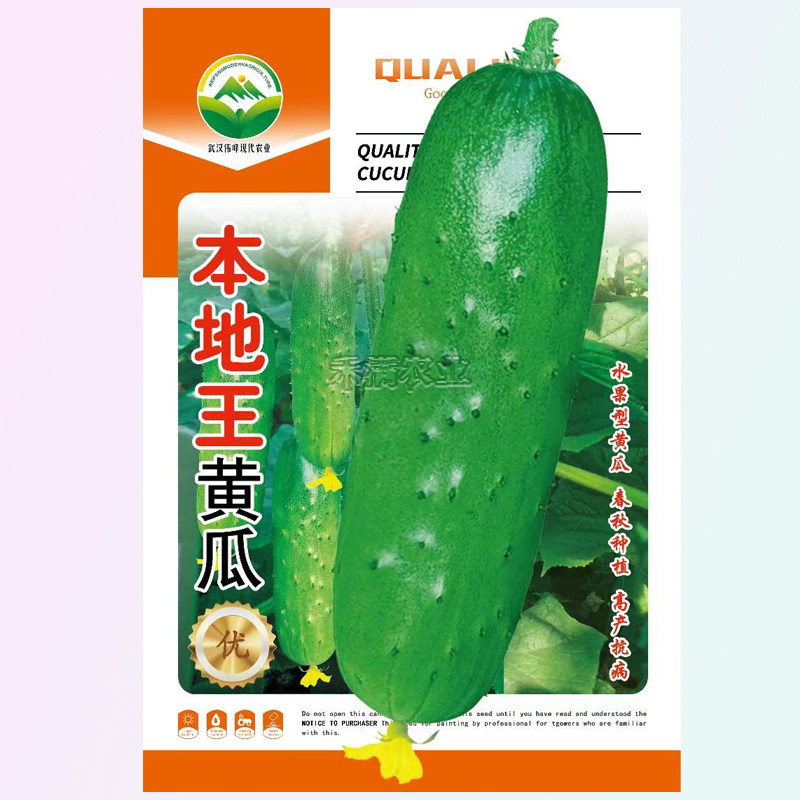 春季本地王黄瓜种子蔬菜种子水果黄瓜种籽大全黄瓜籽种旱黄瓜种孑