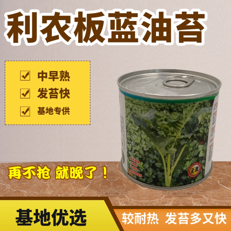 【正源】利农板蓝油苔正宗板蓝根菜苔种子板蓝根青菜基地正品原装图片