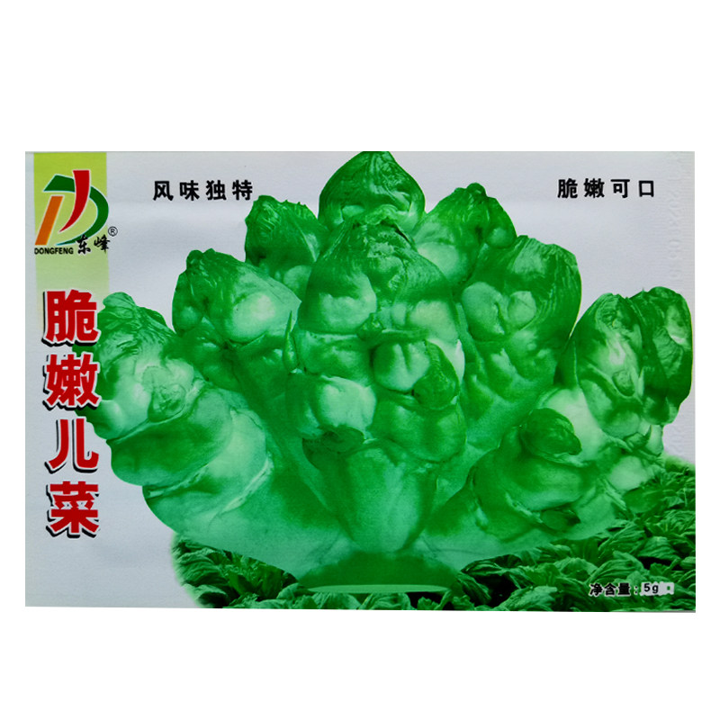 四川儿菜种子特产四季播宝宝菜娃娃菜抱子芥菜秋季蔬菜籽早熟农家