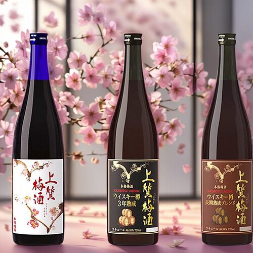 津崎上质梅过桶酒熟成16度微醺甜酒低度果酒日本原装进口洋酒行货