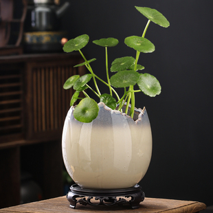 速发创意铜钱草绿萝桌面水培盆陶瓷家用缺口蛋壳盆无孔水养绿植景