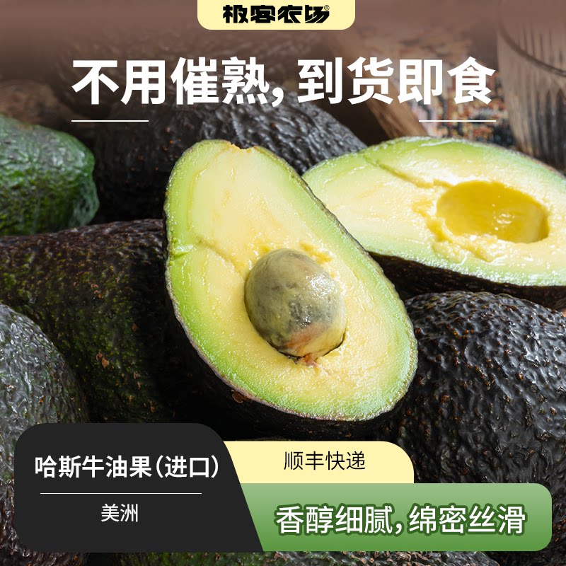 进口哈斯牛油果丨已催熟 到货即食 冷藏保存 食用售后3天内 SF