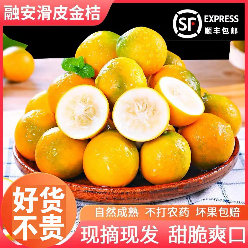 广西融安金桔滑皮金桔口感纯甜皮脆新鲜应季水果二代金桔【精选】