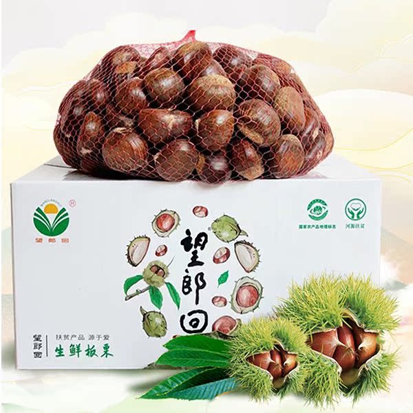 广东河源特产望郎回当季采摘新鲜带壳生板栗煲汤即食板栗5斤8斤装