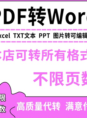 PDF转Word文档人工代转换扫描件图片PPT/Excel/TXT/CAD可编辑文档