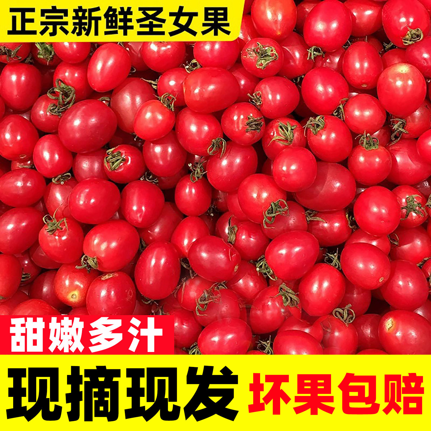 现摘农家玲珑圣女果5斤小番茄新鲜水果蔬菜当季整箱千禧小西红柿