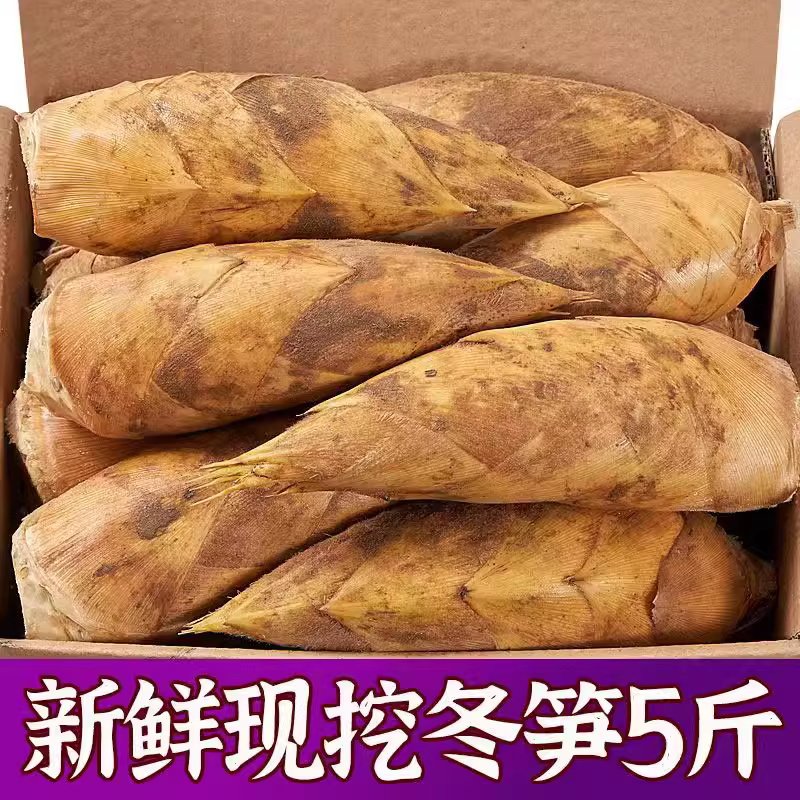 冬笋新鲜现挖野生竹笋5斤蔬菜春雷竹笋农家黄泥笋建瓯特产楠竹笋