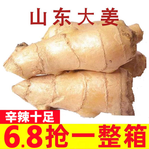 【生姜推荐榜】老姜山东大姜精选