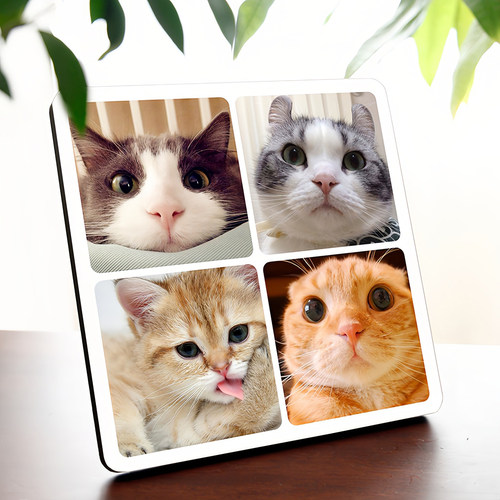 设计狗狗猫咪多张排版定制四宫格