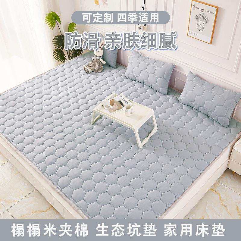 新款榻榻米专用床垫子床褥子地炕垫地铺柔软加厚防滑可折叠可钉制