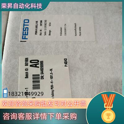现货FESTO 197386 PN-H-10x1.5-BL