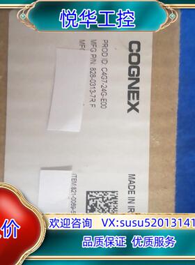 原装康耐视Checker  4G7X  工业相机议