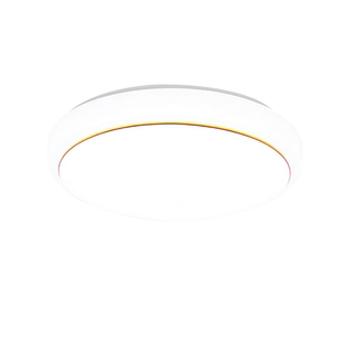 吸顶灯罩外壳圆形单独旋口卧室LED无光源35cm30cm45cm和底盘灯具