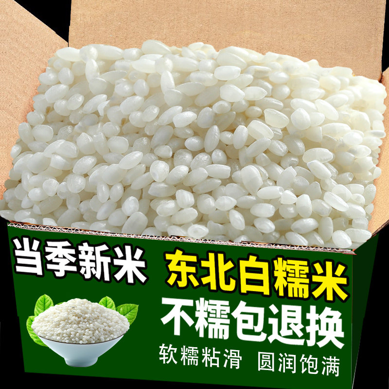 东北圆白糯米新米正黑血糯米宗紫米饭团芋泥热奶宝包粽子烘培商用