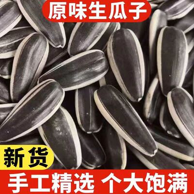 新鲜内蒙古363生瓜子大颗粒
