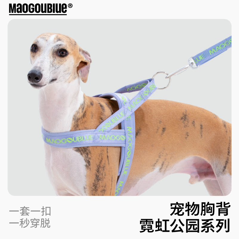maogoublue狗狗胸背带小中大型犬防爆冲柯基柴犬宠物幼犬狗牵引绳