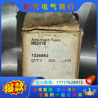 原装FERRAZ熔断器 HSJ110 110A 600V议价