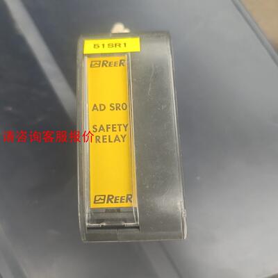 原装瑞奥REER安全继电器 ADSR0，成色新，功能完好，实
