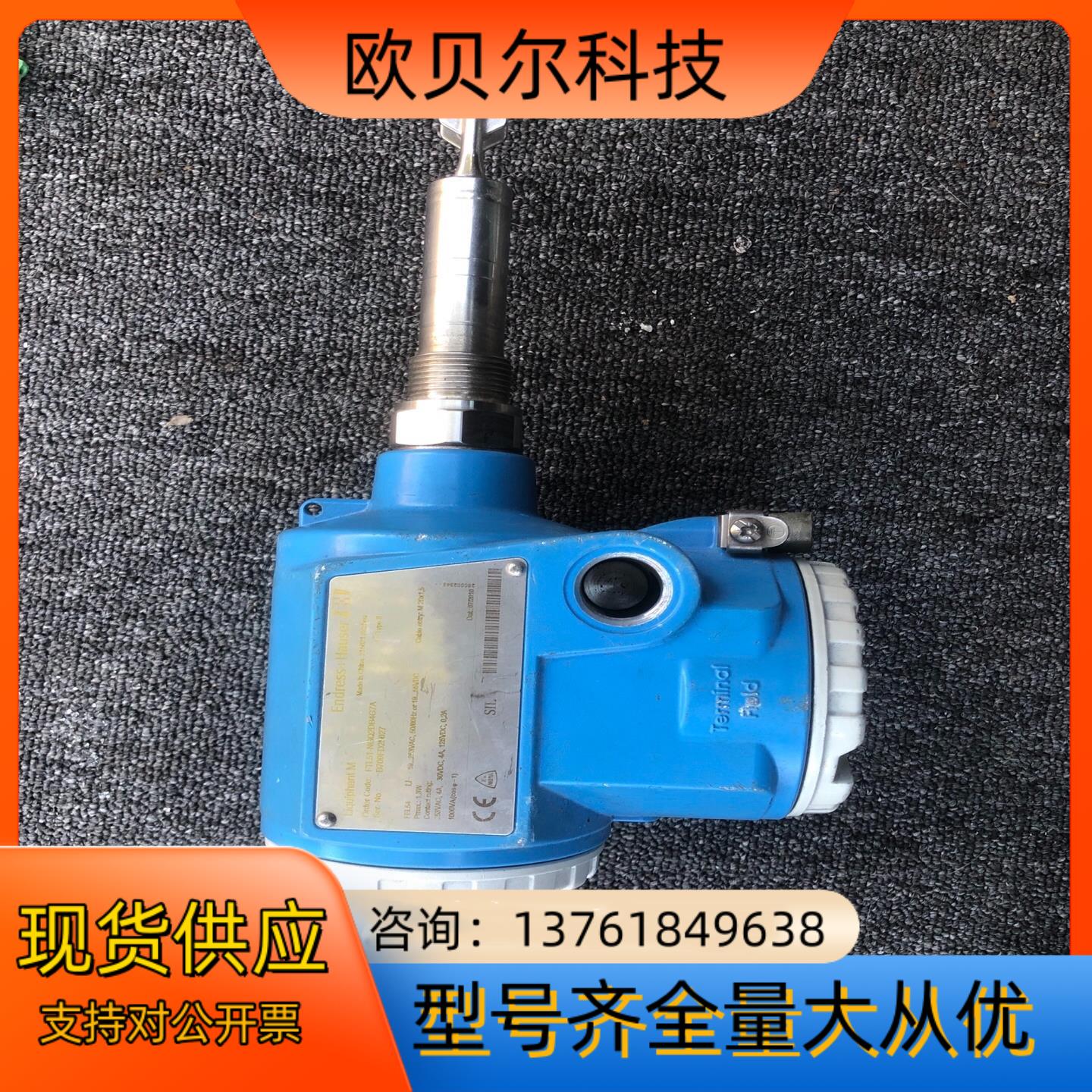 EH 恩德斯豪斯FTL51音叉液位器模块FTL51-NGQ