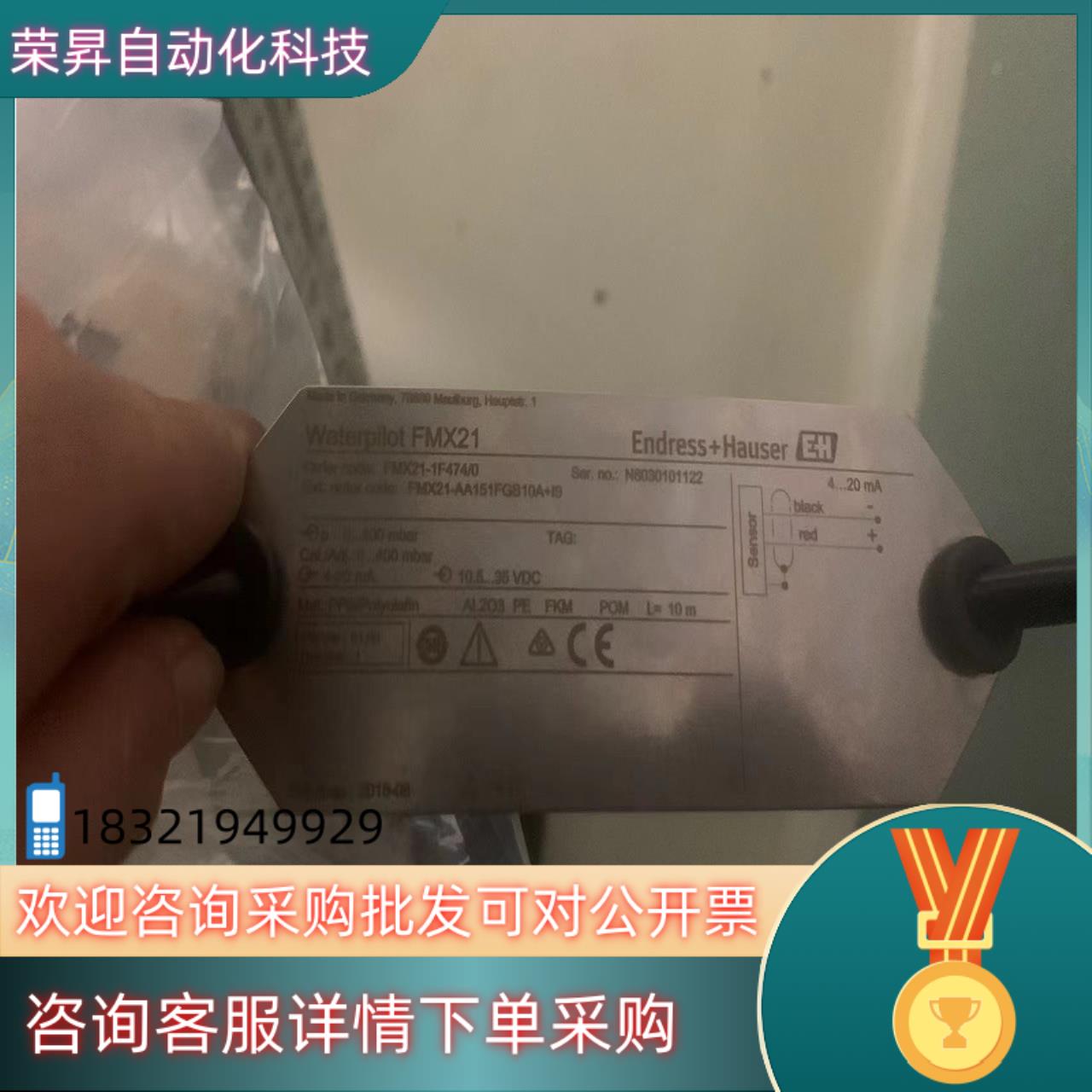 现货全新E+H静液位计FMX21图片具体参数如下可