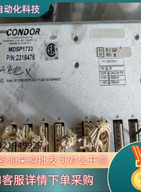 CONDOR MDSP1733  电源 出