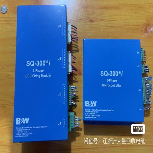{雅致机械商行}B&W巴威SQ-300I8700700-004B2870