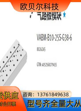 8026265   VABM-B10-25S-G38-6费斯