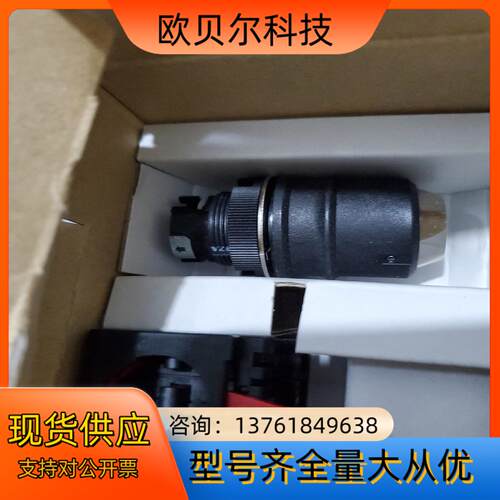 全新安全钥匙开关A22TK-2LL-21-K01