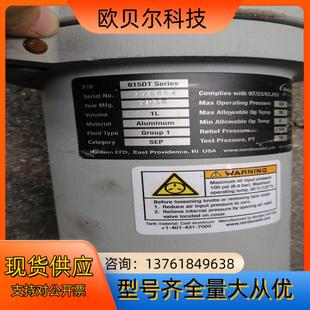 EFD大容量点胶灌1L型号615TD Series成