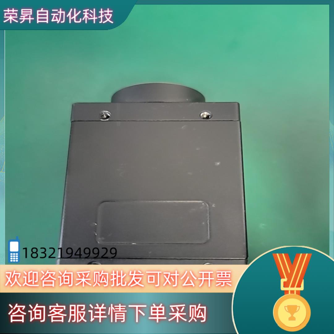 现货灰点工业相机 900w像素  gs3-pge-91s6m-c