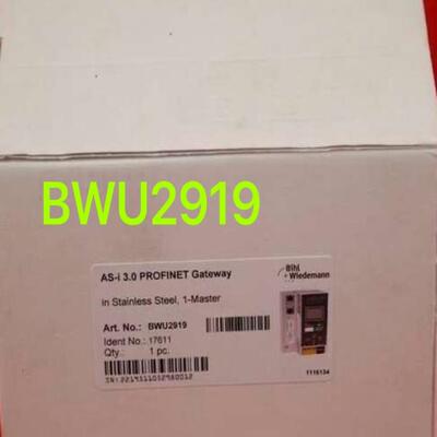 （设备配件）德国Bihl+Wiedemann必威模块BWU2919，AS