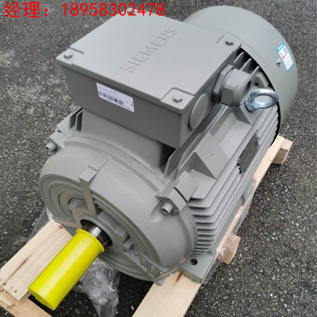 西门子电机15KW千瓦2极卧式1LE0003-1DA33-3AA4-Z三相异步电动机