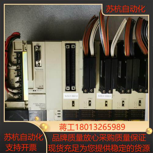 CS1H-CPU63H，CS1W-ID261三个，CS