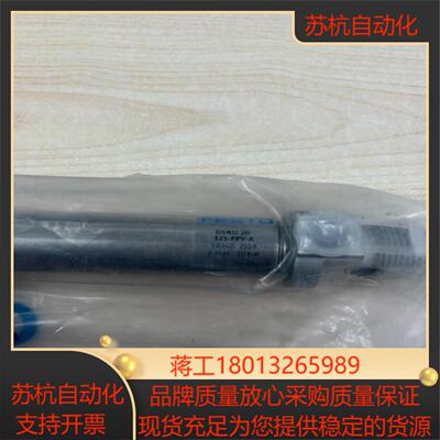 DSNU-20-125-PPV-A  19240  费斯托气