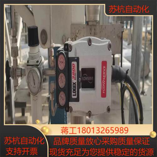 Flowserve 3821-28EA-D43L-0010-