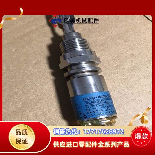 德国E+H音叉液位开关FTL20-012B  功能完议价