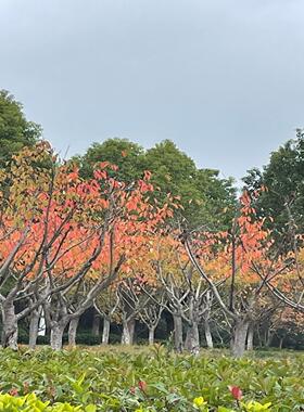 电源cc-PWRR01电源