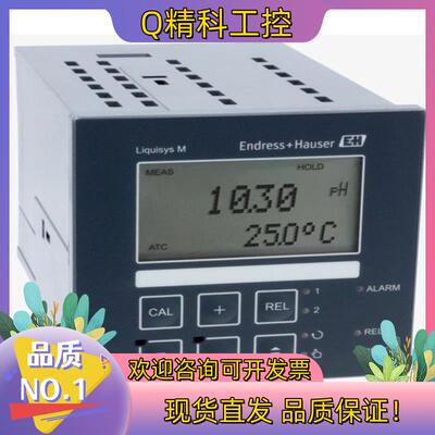 德国E+H恩德斯豪斯 CPM223-PR0005  PH/O