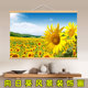 向日葵风景装 挂画 饰画客厅墙画餐厅壁画房间卧室床头太阳花横版