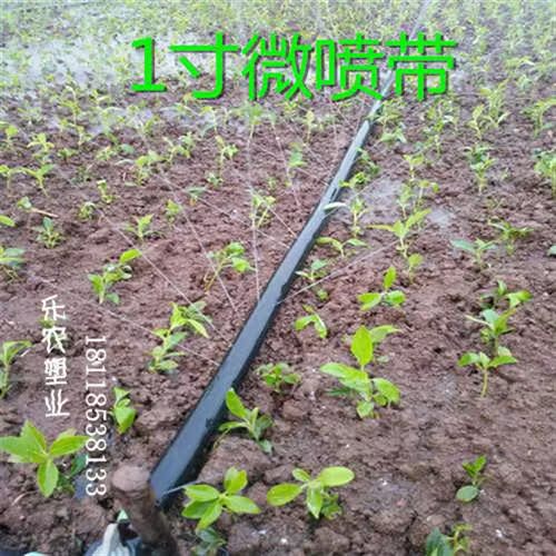 农用水管滴灌带 1寸喷灌滴管带雾化节水喷水带微喷带