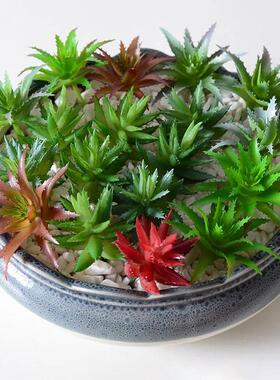 仿真芦荟多肉植物绿装饰