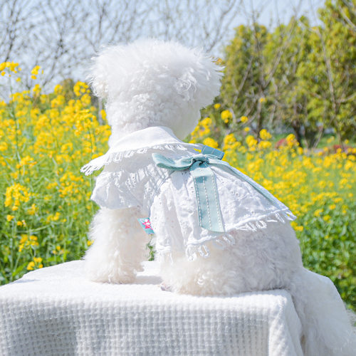 宠物圈狗狗衣服春夏新品中小型犬