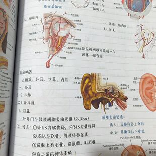 手写霍琨系统解剖学笔记纸质版 霍坤笔记纸质电子视频解刨系统讲义