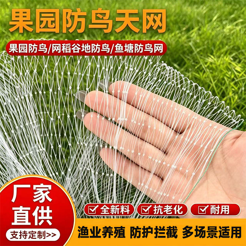 防鸟网果树果园大棚尼龙线防小乌专用围网樱桃树葡萄鱼塘用的天网