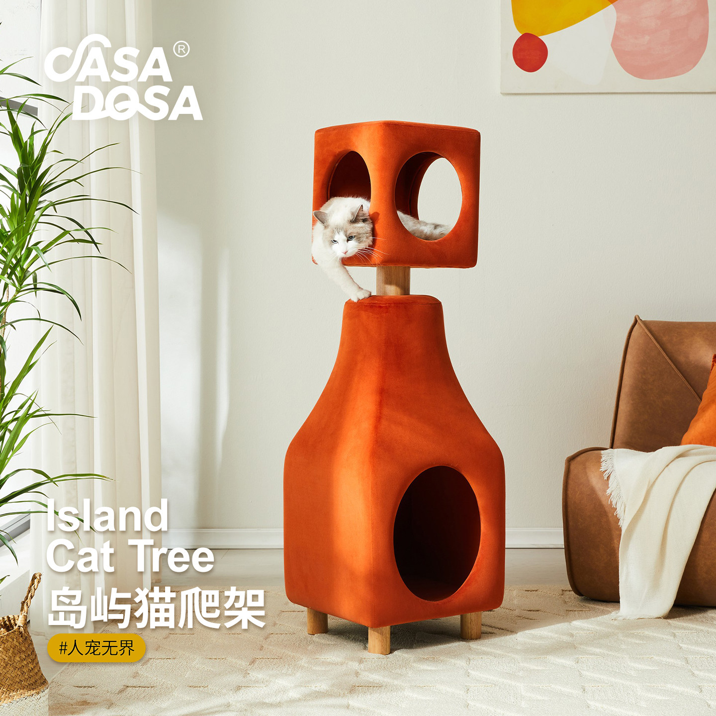 CasaDosa他它生活猫爬架猫窝猫树一体小户型不占地多层猫跳台耐抓