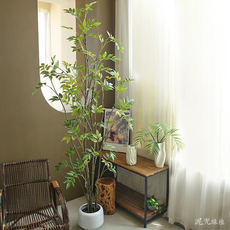 大型落地仿真绿植黄花梨盆栽家居室内装饰摆件仿真树侘寂风植物