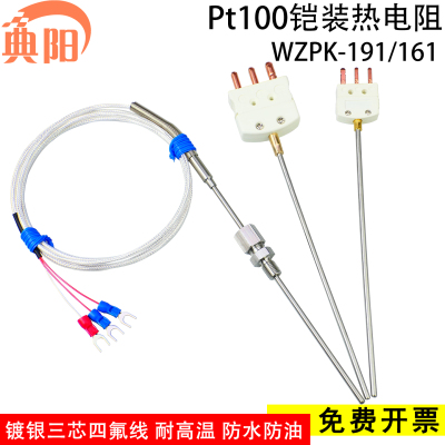 Pt100热电阻WZPK-191铠装温度传感器可弯曲探头耐高温镀银四氟线
