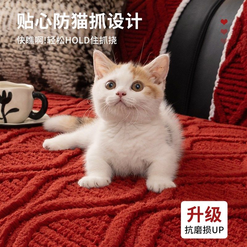 精选【新年开门红】复古高级感加厚毛绒沙发垫2025固定防滑沙发坐,居家布艺,沙发垫,淘宝优惠券,粉丝福利购,淘宝优惠卷