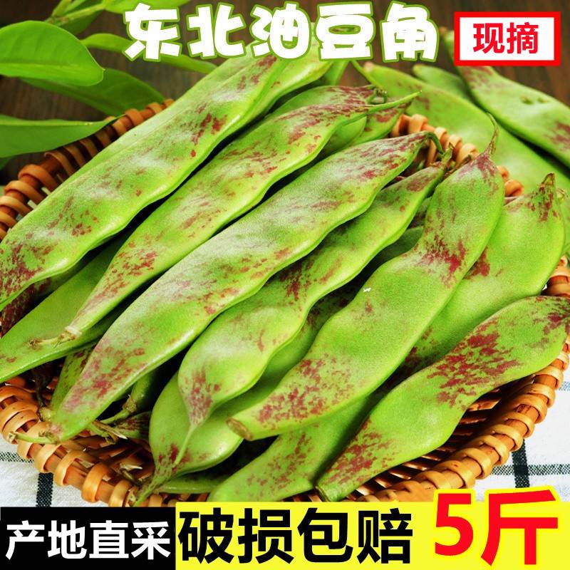 东北油豆角新鲜蔬菜5斤一点红油豆角九月青黑龙江整箱包邮10